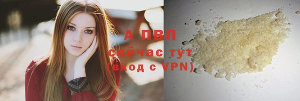 ГАЛЛЮЦИНОГЕННЫЕ ГРИБЫ Новозыбков