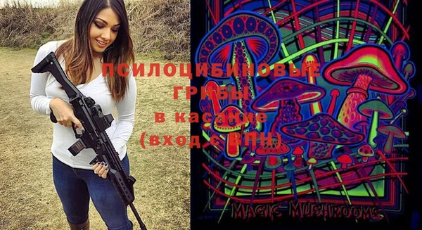 2c-b Няндома