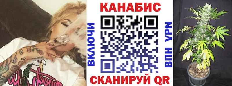 кракен tor  Сальск  Канабис конопля 